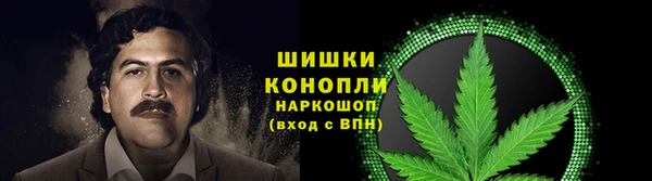 индика Вязники