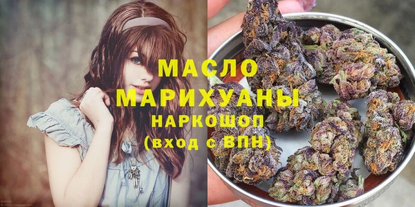 мдпв Вяземский